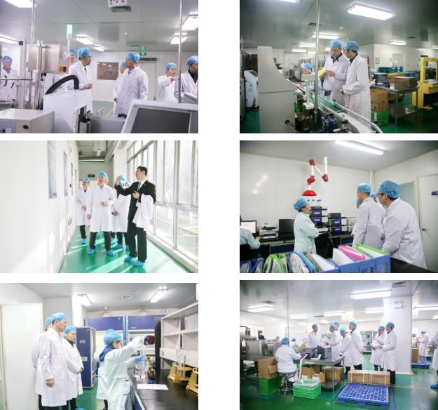 西安市委联合调研组莅临三亿体育股份考察调研