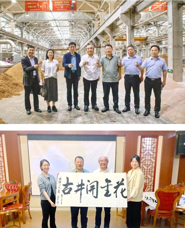 三亿体育股份董事长邢雅江一行赴古井贡酒集团考察交流、洽谈合作