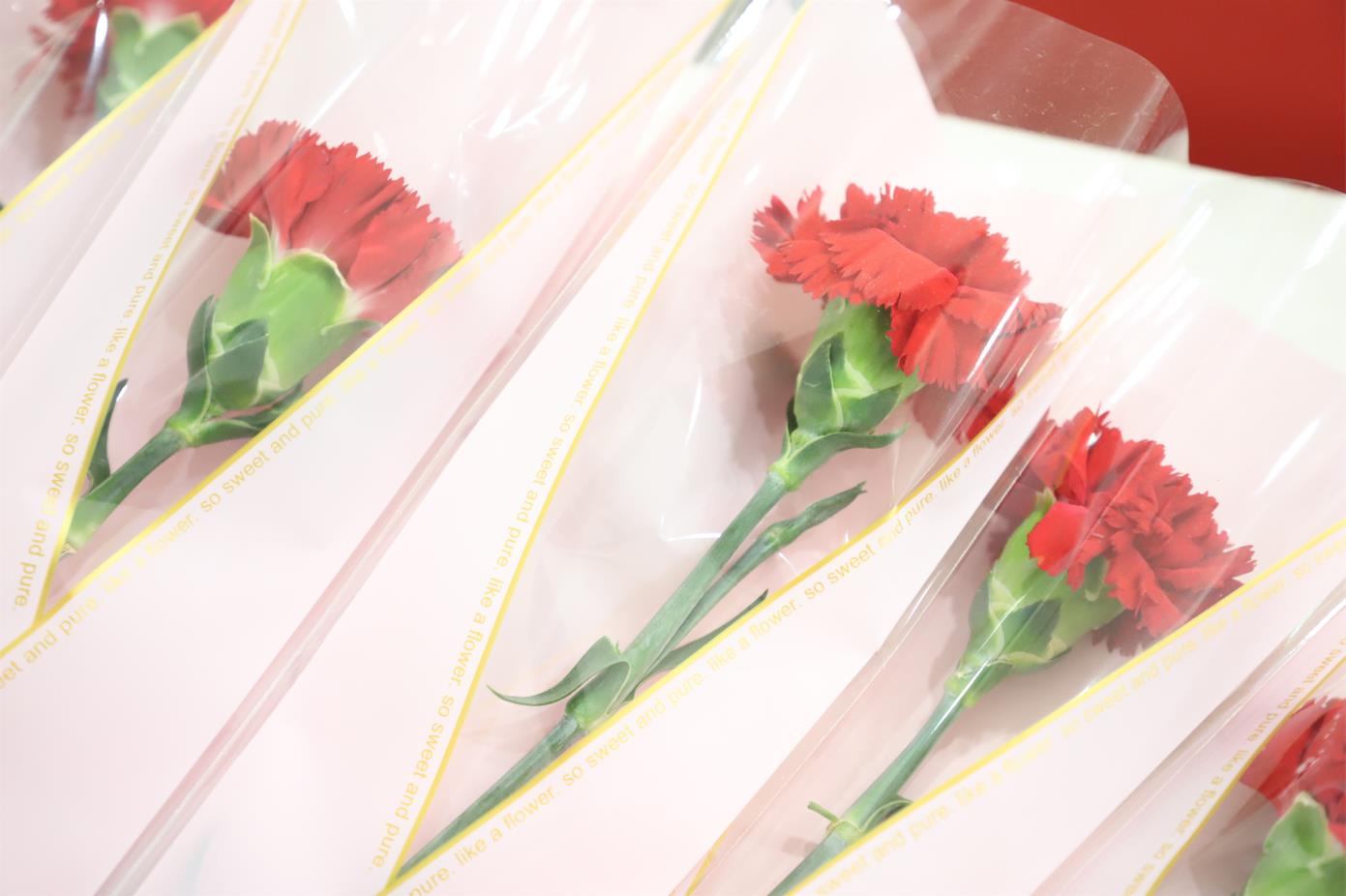 2022年三亿股份母亲节观影活动